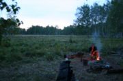 IMG 7181