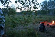 IMG 7183