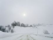-2008 258