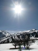 IMG 0697