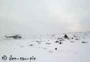 DSC 4919 .