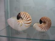 IMG 6640