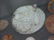 IMG 6725