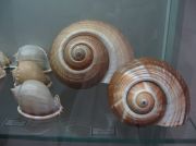 IMG 6743