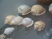 IMG 6744