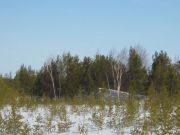 IMG 4461