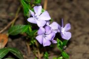 DSC00020