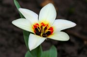 DSC00009