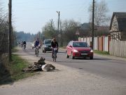 IMG 7467