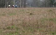 IMG 7474