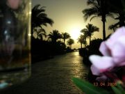 DSCN1745