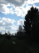 IMG 0269