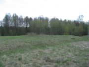 IMG 0271