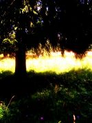 ������� 2