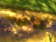 ������ 025