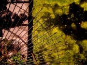 ������ 022