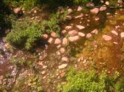 ������ 012