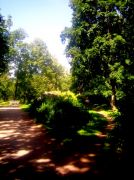 ������ 030