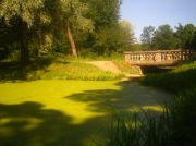 ������ 037