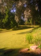 �������� ����