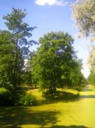 ������ 035