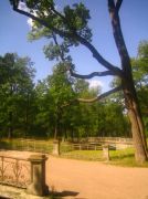 ������ 055