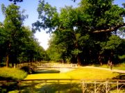 ������ 060