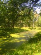 ������ 071