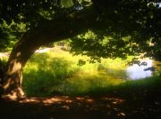 ������ 079