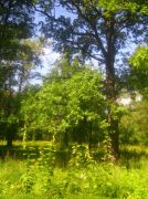 ������ 098