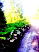 ������ 101