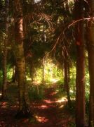 ������ 107