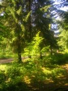 ������ 108