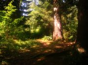 ������ 109