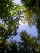 ������ 111