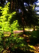 ������ 112