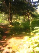 ������ 114