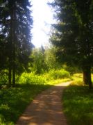 ������ 115