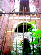 ������ 135