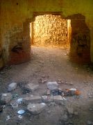 ������ 146