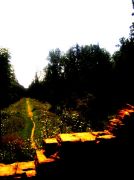 ������ 165