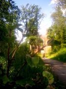 ������ 200