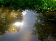 ������ 201