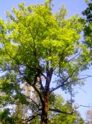 ������ 204