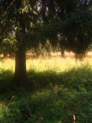 ������ 213