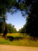 ������ 221