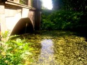 ������ 228