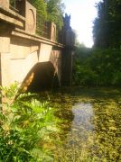 ������ 229