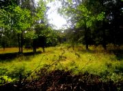 ������ 2401