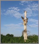 ����� �  ������ ������! 